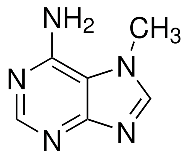 7-Methyladenin 97%