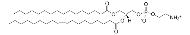 16:0-18:1 PE Avanti Polar Lipids