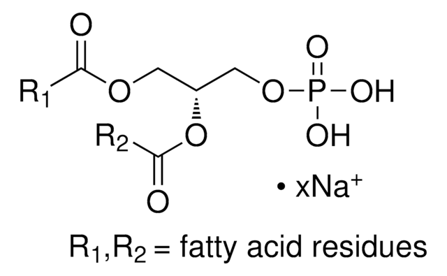 3-sn-ホスファチジン酸 ナトリウム塩 from egg yolk lecithin &#8805;98%