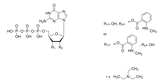 Mant-GTP -triethylammonium (Salz) -Lösung &#8805;95.0% (HPLC)