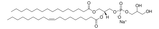 16:0-18:1 PG（磷脂酰甘油） Avanti Research&#8482; - A Croda Brand