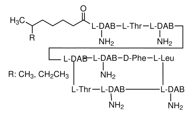 Polymyxin B -Lösung 1&#160;mg/mL in H2O, analytical standard