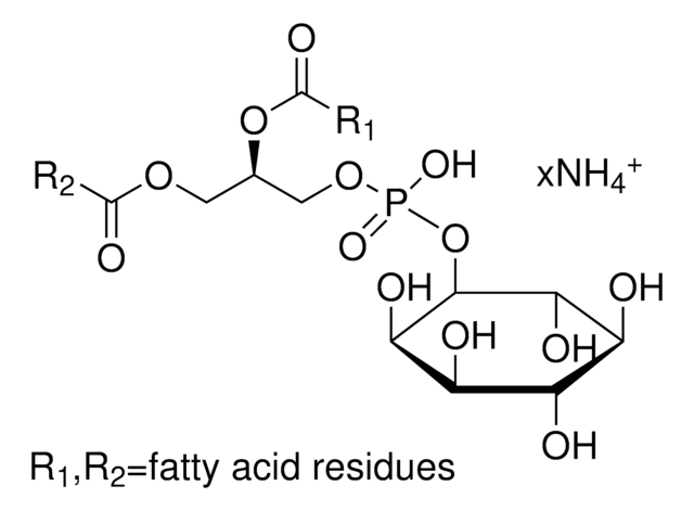 L-&#945;-Phosphatidylinositol Ammoniumsalz aus Glycine max (soybean) 10&#160;mg/mL in chloroform, &#8805;97.0%, solution