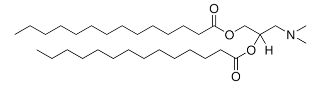 14:0 DAP Avanti Polar Lipids 890840P, powder