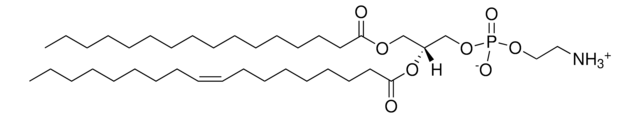 16:0-18:1(n9) PE - IsoPure Avanti Polar Lipids