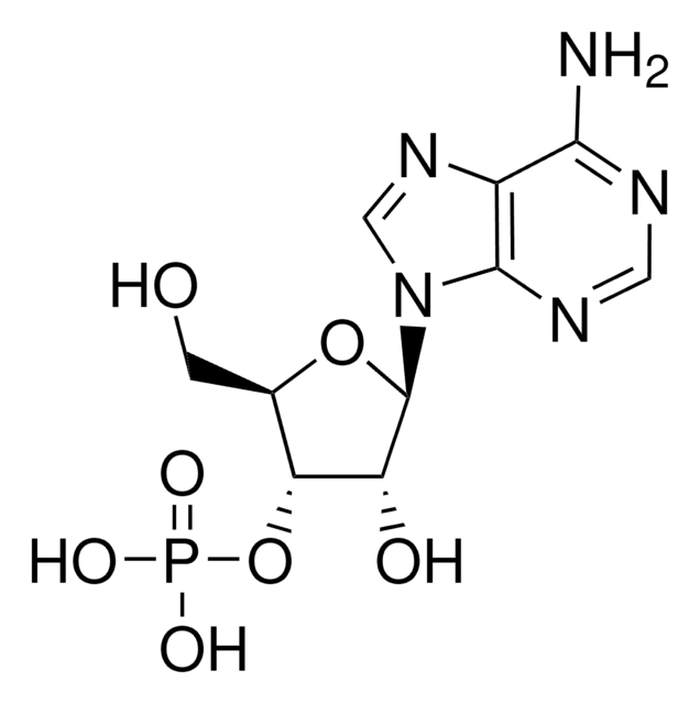 アデノシン 3&#8242;-一リン酸 from yeast