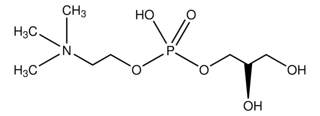 L-&#945;-グリセロホスホリルコリン from soybean, &#8805;98%, powder