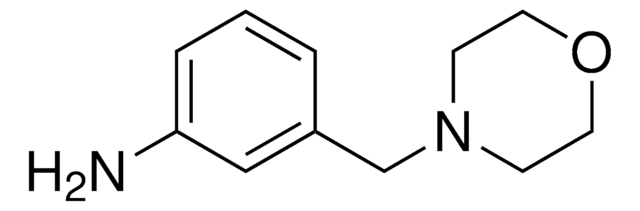 3-(morpholin-4-ylmethyl)aniline AldrichCPR