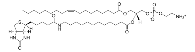 18:1-12:0 Biotin PE Avanti Research&#8482; - A Croda Brand 860562P, powder