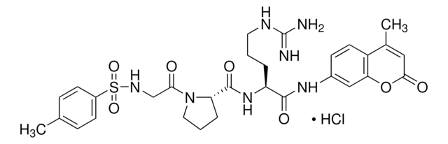 N-p-トシル-Gly-Pro-Arg 7-アミド-4-メチルクマリン 塩酸塩 protease substrate