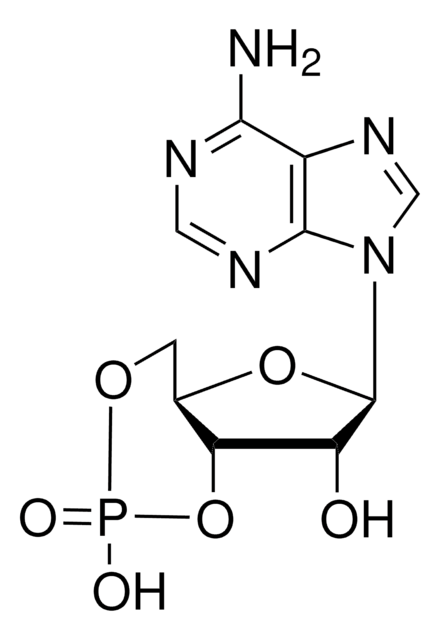 (&#8722;)-アデノシン3′5′-サイクリック一リン酸 &#8805;98.5% (HPLC), powder