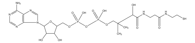 3&#8242;-デホスホコエンザイムA &#8805;90% (HPLC)