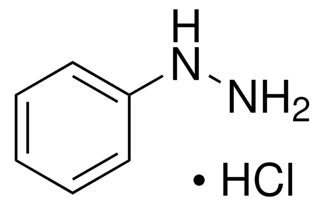 苯肼 盐酸盐 &#8805;99%