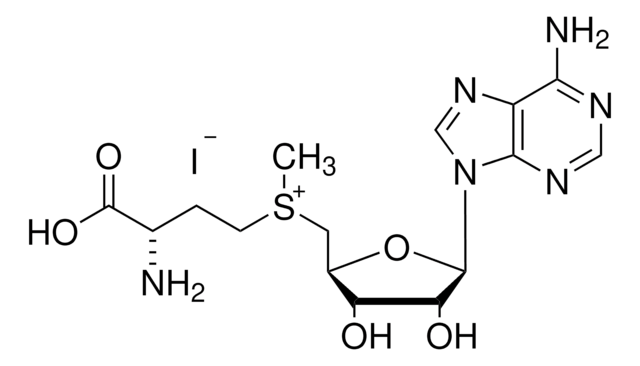 S-(5&#8242;-アデノシル)-L-メチオニンヨージド &#8805;80% (HPLC), &#8805;80% (spectrophotometric assay)