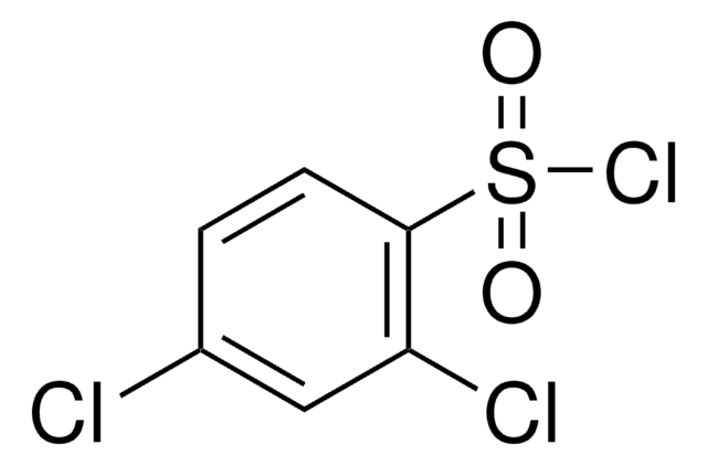 2,4-Dichlor-benzolsulfonylchlorid 97%