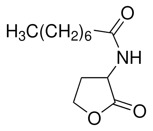 N-オクタノイル-DL-ホモセリンラクトン &#8805;97.0% (HPLC)