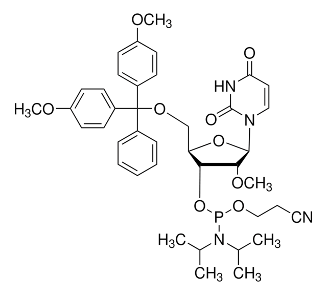 DMT-2&#8242;O-Methyl-rU Phosphoramidite configured for ÄKTA&#174; and OligoPilot&#174;