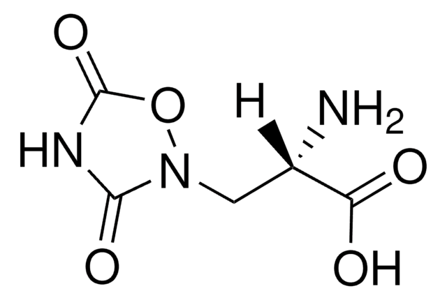 Quisqualinsäure powder