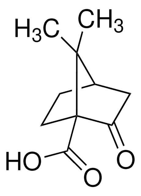 (1S)-(+)-Ketopinsäure 99%