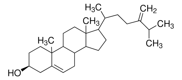 24-Methylene cholesterol Avanti Research&#8482; - A Croda Brand, powder