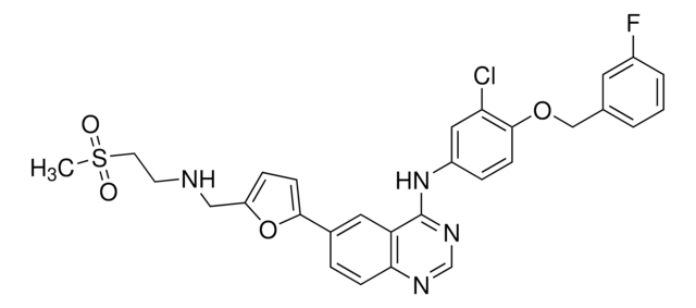 ラパチニブ &#8805;98% (HPLC)