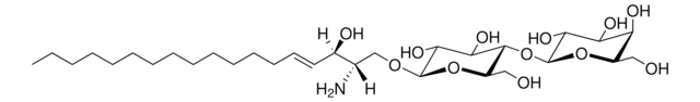 Lactosyl(&#946;) Sphingosine (d18:1) Avanti Research&#8482; - A Croda Brand 860542P, powder