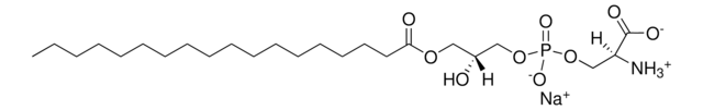 18:0リゾPS 1-stearoyl-2-hydroxy-sn-glycero-3-phospho-L-serine (sodium salt), powder