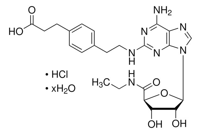 CGS-21680 盐酸盐 水合物 solid