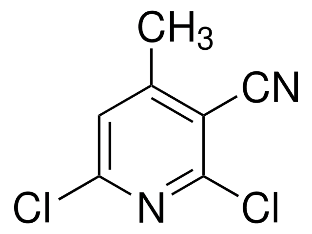 2,6-Dichlor-4-Methylnicotinonitril 97%