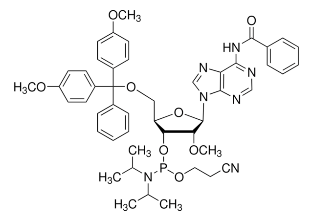 DMT-2&#8242;O-Methyl-rA(bz)-Phosphoramidit configured for ABI