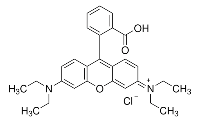 ローダミンB for fluorescence