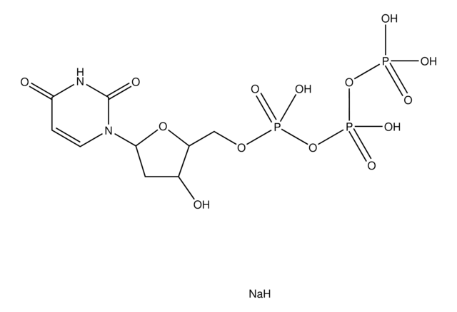 2&#8242;-Desoxyuridin 5&#8242;-triphosphat Natriumsalz -Lösung PCR Grade, sodium salt