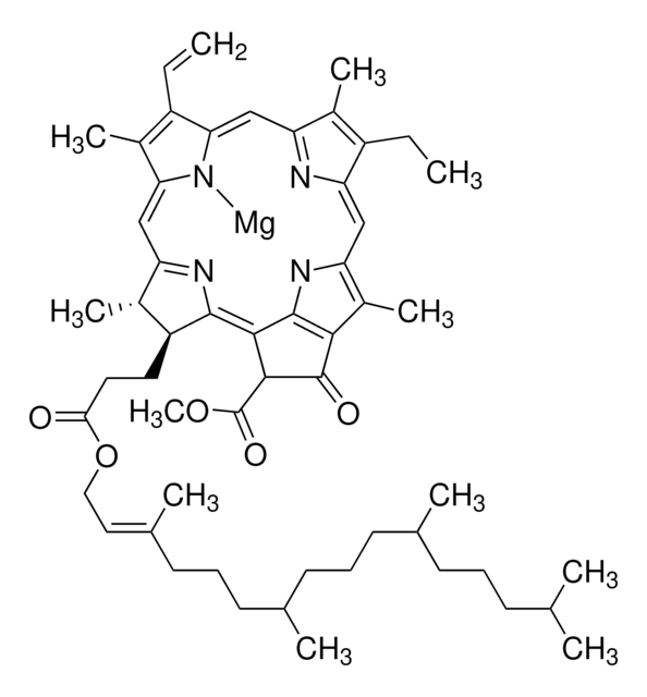 Clorofila a from spinach