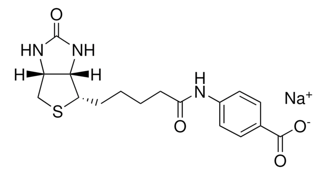 Ácido 4-aminobenzoico biotina &#8805;95%