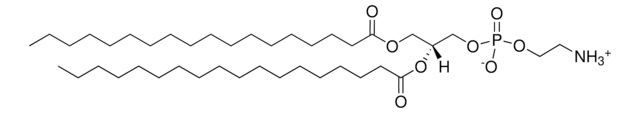 18:0 PE Avanti Polar Lipids