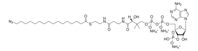 16:0 Azido Coenzyme A Avanti Research&#8482; - A Croda Brand, powder