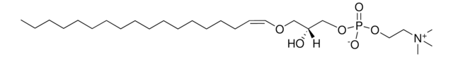 C18（等离子）LPC 1-O-1&#8242;-(Z)-octadecenyl-2-hydroxy-sn-glycero-3-phosphocholine, powder