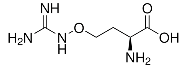 L-Canavanine &#8805;98% (TLC), powder, from Canavalia ensiformis