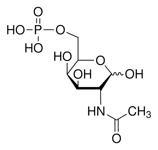 N-Acetyl-D-galactosamine-6-phosphate &#8805;97.0% (HPLC)