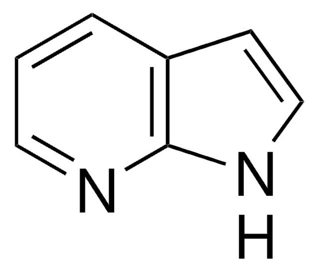 7-氮杂吲哚 98%