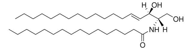 C16 Ceramide (d18:1/16:0) Avanti Research&#8482; - A Croda Brand