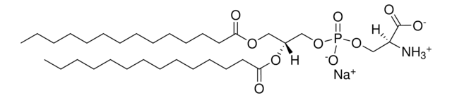 14:0 PS Avanti Polar Lipids