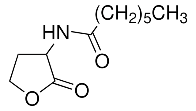 N-ヘプタノイル-DL-ホモセリンラクトン &#8805;97.0% (HPLC)