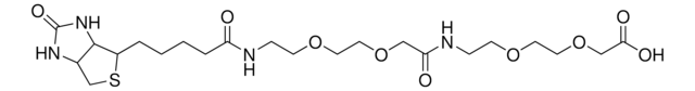 Biotin-O2Oc-O2Oc-OH &#8805;95%