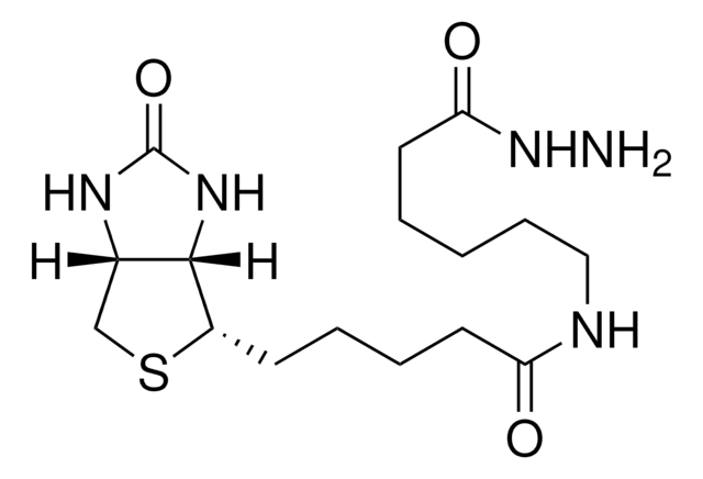 (+)-ビオチンアミドヘキサン酸ヒドラジド &#8805;90% (TLC), powder