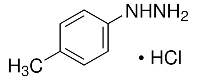 p-Tolylhydrazin -hydrochlorid 98%