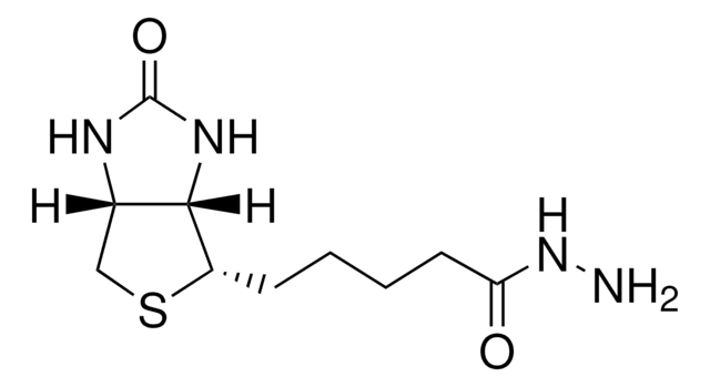 生物素酰肼 &#8805;97% (TLC), powder