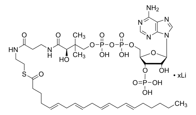 Arachidonoyl-Coenzym&#160;A Lithiumsalz &#8805;85%