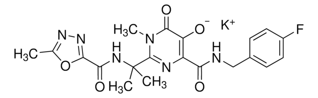 Raltegravir-Kalium