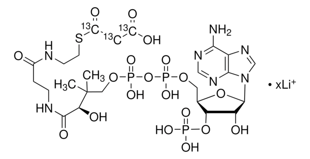 マロニル-13C3コエンザイムA リチウム塩 99 atom % 13C, 95% (CP)